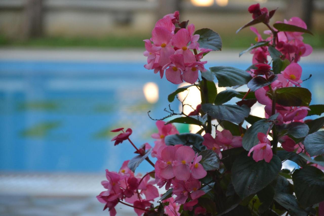 Corfu Hellinis Hotel Kanoni  Exterior foto